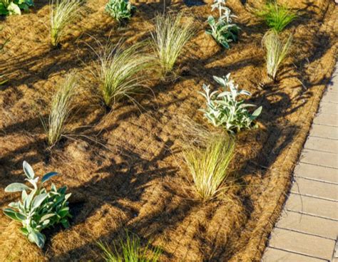 Schéma explicatif comparant l'efficacité d'une toile de paillage biodégradable versus une bâche synthétique en milieu urbain