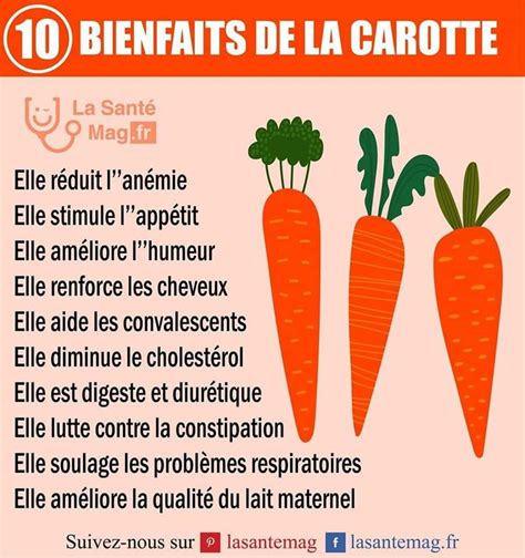 Infographie sur les bienfaits nutritionnels de la carotte