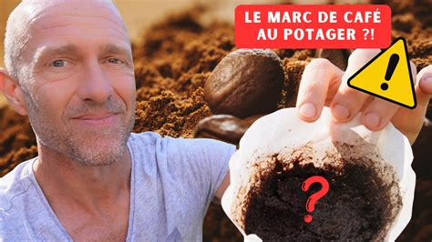 Photo montrant une barrière de marc de café autour d'un potager pour limiter les limaces