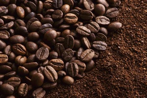 Marc de café frais et séché