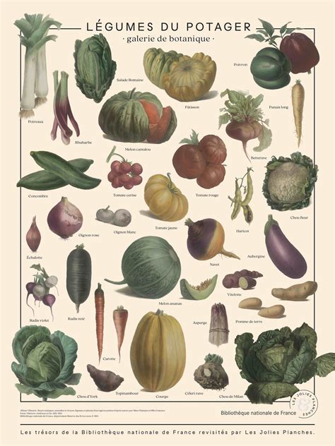 Légumes du potager