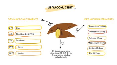 Schéma illustrant les besoins en lumière et en terre du yacon