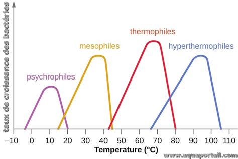 Graphique de la température et de l'activité microbienne durant la phase mésophile
