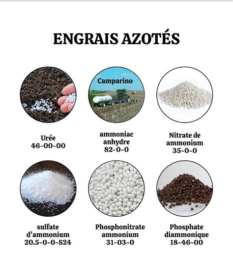 Comparaison entre différents types d'engrais azotés