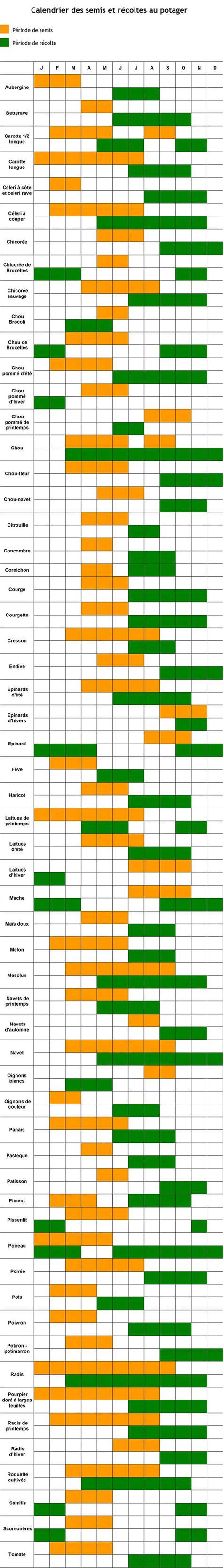 calendrier des récoltes de pommes