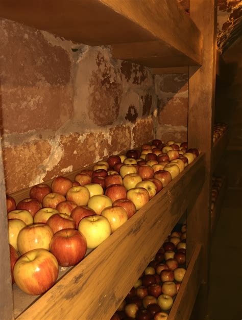 conservation des pommes en cave