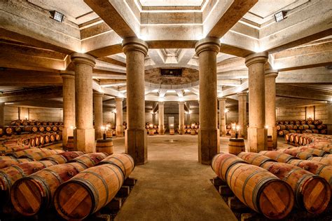 Schéma de l'architecture du domaine viticole, incluant les caves et les chais