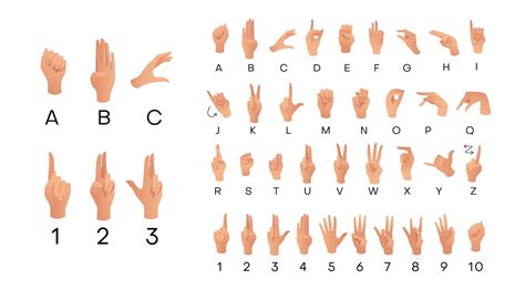 Illustration d'un cognassier avec des feuilles présentant des signes de dessèchement