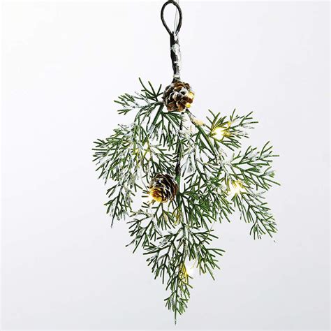 Tillandsias suspendus à une branche décorative