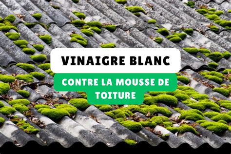 Application d'un anti-mousse sur une toiture