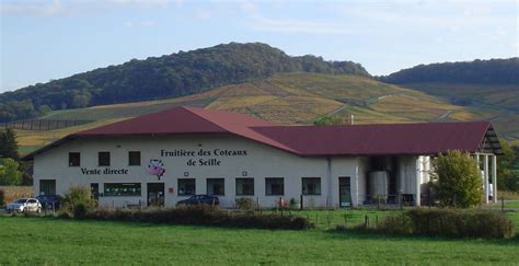 Vue panoramique de la Fruitière de Seille au cœur du vignoble jurassien