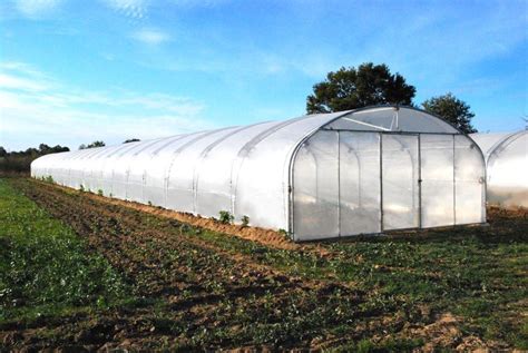 Photo montrant une serre tunnel maraîchère installée dans un potager avec des rangées de légumes bien organisées