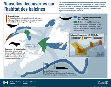 Schéma de l'habitat du lompe dans l'Atlantique Nord