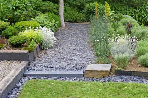 Plantes aromatiques en bordure d'allée