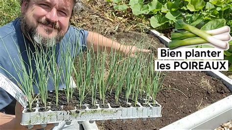 Illustration d'un potager avec des rangs de poireaux affaissés et des signes de ravageurs