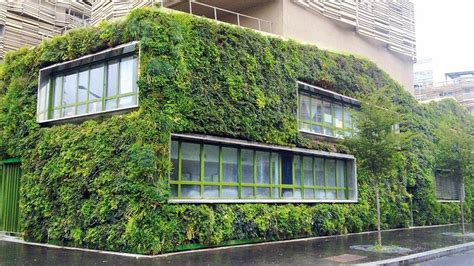 Schéma illustrant la disposition des câbles en inox pour une façade végétalisée