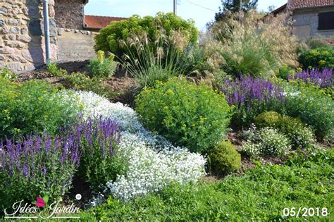 Photo d'un talus aménagé avec des lavandes, des sedums et des graminées en quinconce