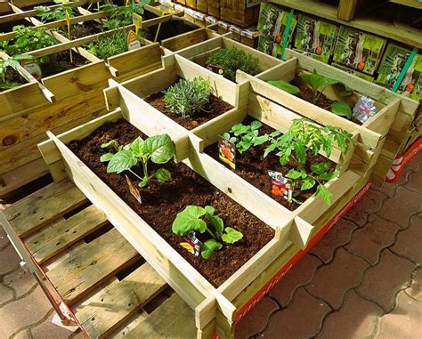 Un potager en carré réalisé à partir de palettes en bois installé sur une terrasse ensoleillée