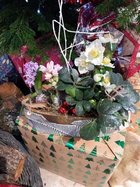 Composition hivernale avec narcisses et jacinthes