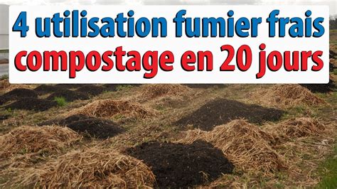 Infographie présentant les types de fumiers (cheval, vache, volaille) et leurs spécificités nutritives