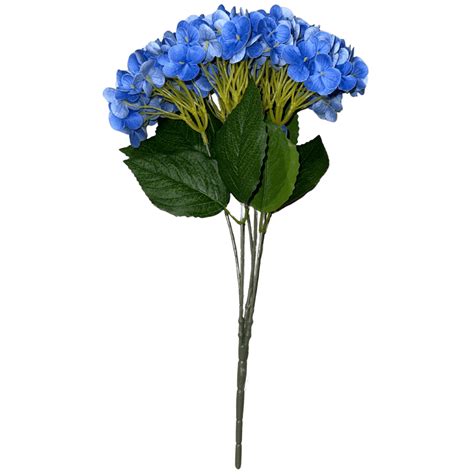 Bouquet d'hortensias bleus