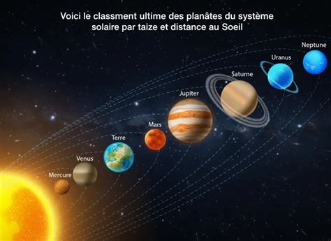 Schéma illustrant la disposition des légumes selon leur taille et exposition au soleil