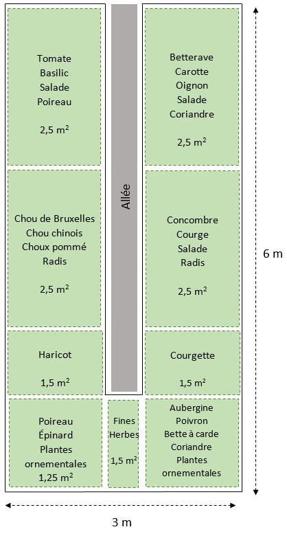 Infographie comparative des différents modèles de potagers (carré, butte, vertical)