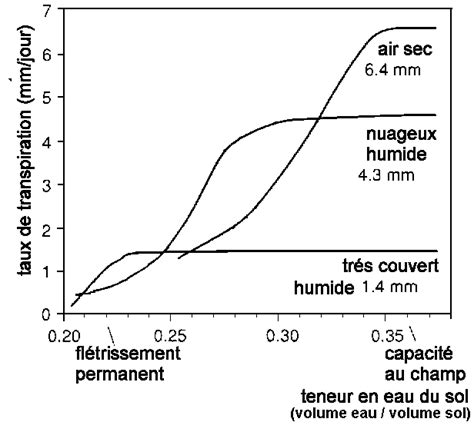 Diagramme comparatif montrant la profondeur d'enracinement selon la fréquence d'arrosage