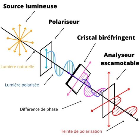 Diagramme illustrant la différence de transmission lumineuse entre une bâche cristal et une bâche diffusante
