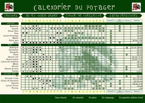 Infographie illustrant le calendrier de bouturage annuel