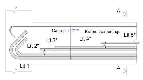 Schéma illustrant l'espacement des godets d'helxine sur un sol préparé