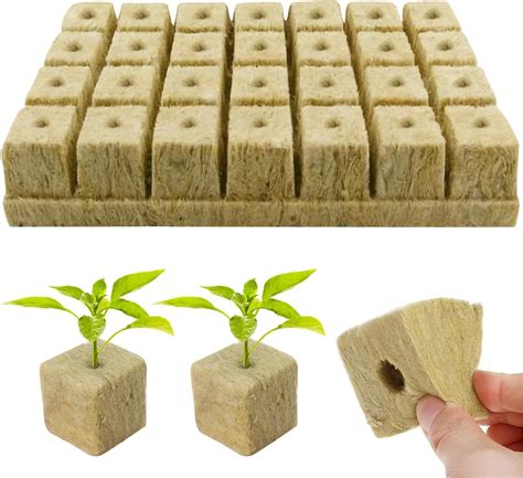 Image d'un cube de laine de roche avec une jeune bouture