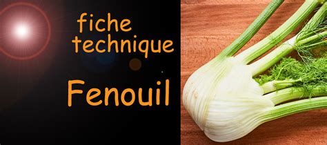 schéma illustrant les différentes parties du fenouil à retirer
