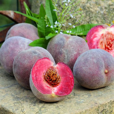 pêches de vigne dans un panier