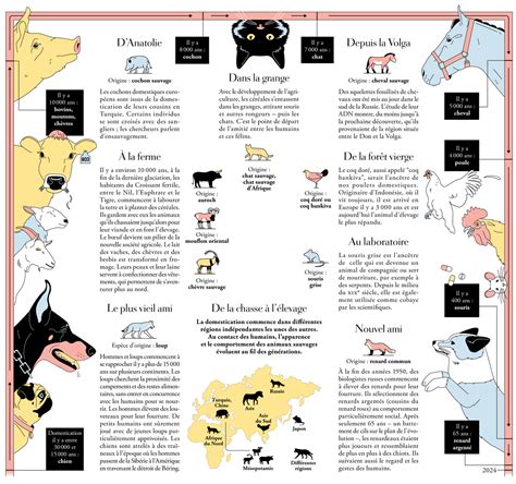 Histoire de la domestication des courges