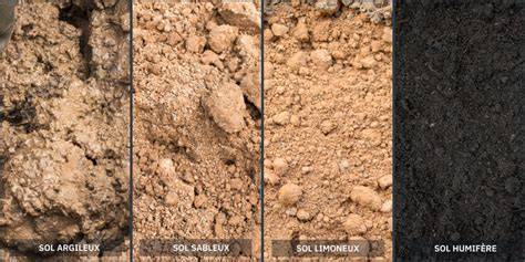 Infographie comparant les poids de lestage recommandés selon la nature du sol (argileux vs sableux)