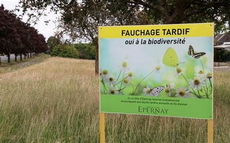 fauchage tardif d'une prairie fleurie en automne