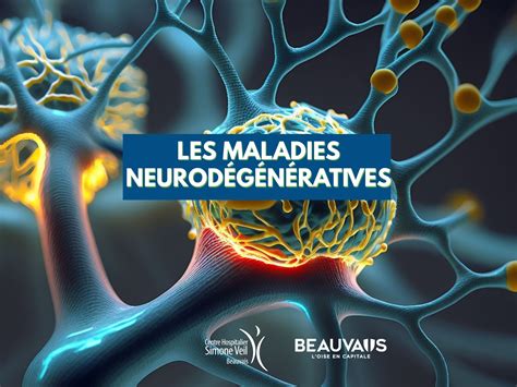 Infographie sur les maladies courantes du Lonicera et leurs traitements naturels