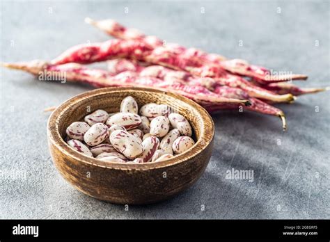 Gousses de haricots borlotti sur pied