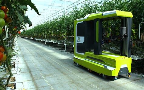 Illustration conceptuelle d'un robot récolteur de café dans une plantation moderne
