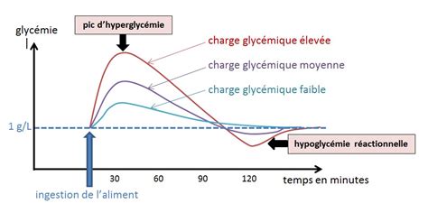 Graphique montrant l'impact de l'activité physique sur la courbe glycémique après un repas