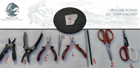 Exemple d'outils de coupe pour bonsaï et leur positionnement