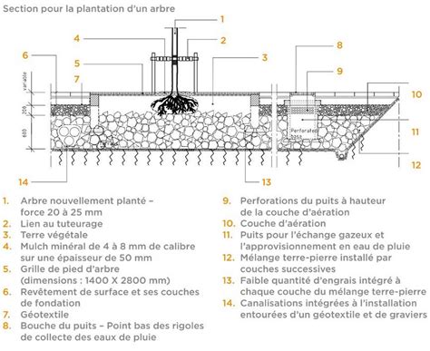 Infographie montrant la coupe d'un trou de plantation avec un lit de sable drainant au fond