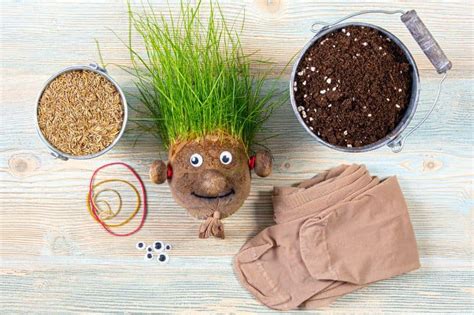 Tête à gazon décorée avec des yeux mobiles et une bouche dessinée