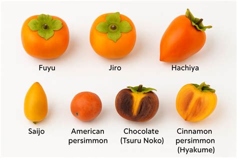 Tableau comparatif des variétés de kakis (Fuyu, Jiro, Sharon, Rojo Brillante)