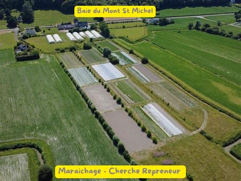 Champs cultivés en maraîchage avec serres et cultures en plein air