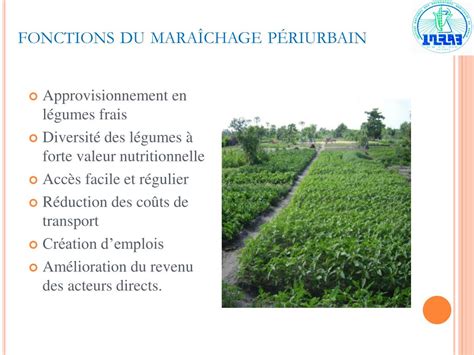 Schéma comparatif entre le maraîchage périurbain et le maraîchage spécialisé de bassin