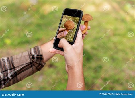 Application d'identification de champignons sur smartphone