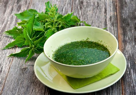 Soupe d'ortie