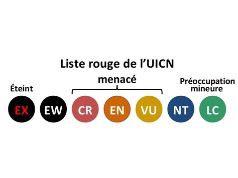 Symbole de la liste rouge de l'UICN